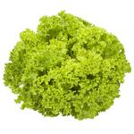 Салат Vita Verde Лолли Биондо 300г
