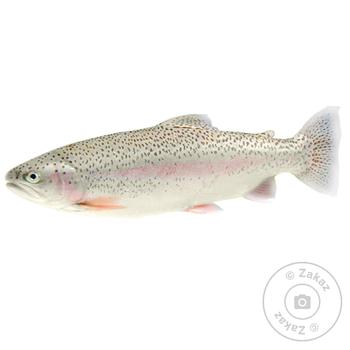 Live Trout - buy, prices for ULTRAMARKET - photo 1