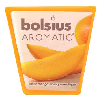 Свічка Bolsius True Scents манго 47/47 1 шт