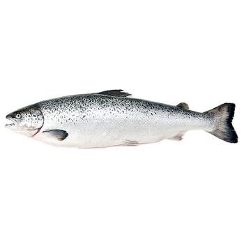 Chilled Salmon 2-3kg - buy, prices for Auchan - photo 2