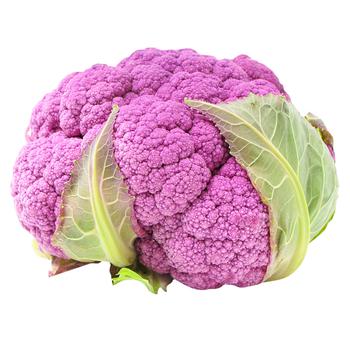 Purple Cauliflower - buy, prices for METRO - photo 1