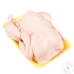 Chilled Chicken