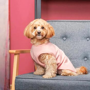 Борцовка для собак Pet Fashion Kale р.М розовый - купить, цены на MasterZoo - фото 5