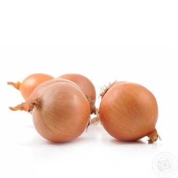 Onions kg - buy, prices for Vostorg - photo 1