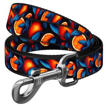 Waudog Nylon Dog Leash S 122cm/15mm with Design of Oranges