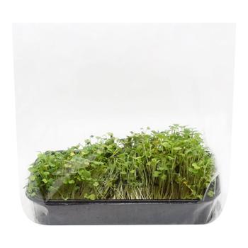 Мікрозелень Руколи 200г - купити, ціни на WINETIME - фото 1