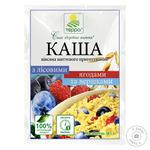 Terra instant oatmeal with wild  berries and cream 38g