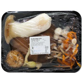 Mushrooms Asian Mix - buy, prices for - photo 2