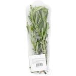 Metro Chef Fresh Rosemary 50g