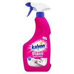 Kalyon Stain Remover 750ml