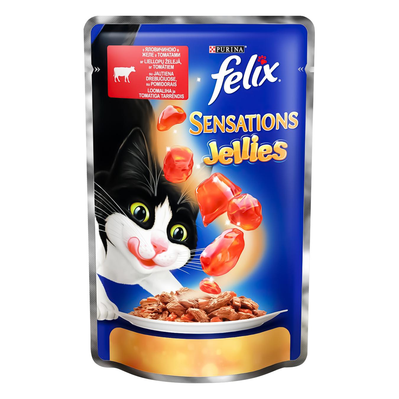 

Корм Felix Sensations Jellies С говядиной в желе с томатами для взрослых котов 100г