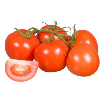 Tomato on Branch - buy, prices for Tavria V - photo 1