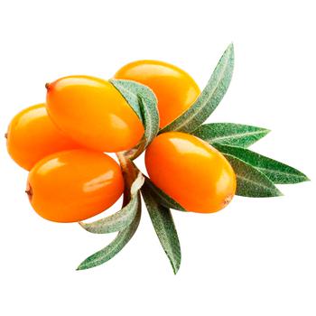 Обліпиха - купити, ціни на КОСМОС - фото 1