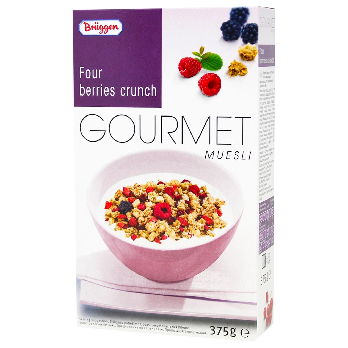 

Мюсли Bruggen с фруктами 375г