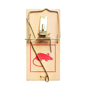 Wooden Mousetrap - buy, prices for Auchan - photo 1