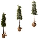 Koopman Artificial Pine 106cm