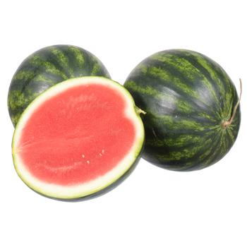Mini Watermelon Ukraine