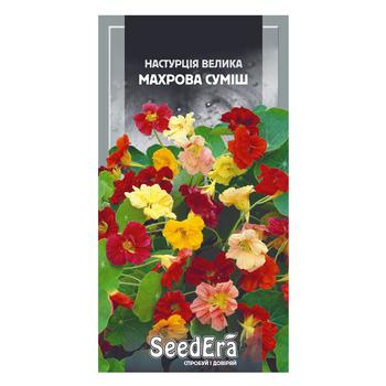 Seedera Large Nasturtium Terry Mix Seed 10g