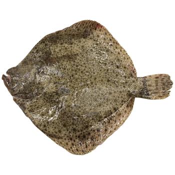 Flounder Turbot - buy, prices for MegaMarket - photo 1