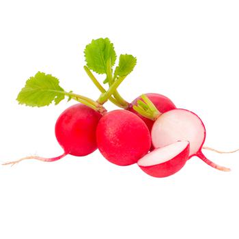 First Grade Radish - buy, prices for VARUS - photo 1