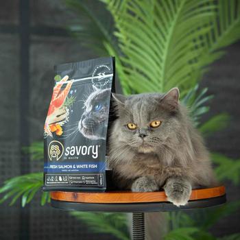 Savory Dry Food with Salmon and White Fish for Long-Haired Cats 2kg - buy, prices for MasterZoo - photo 4