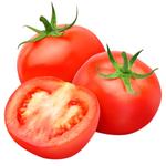 Помидор домашний