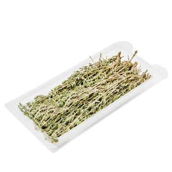 Thyme - buy, prices for Tavria V - photo 1