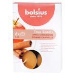 Bolsius True Scents Apple and Cinnamon Candles-Tablets 4gx6pcs