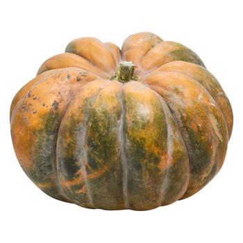 Muscat Organic Pumpkin