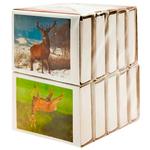 Ukrainian Match Factory Matchs in Assortment