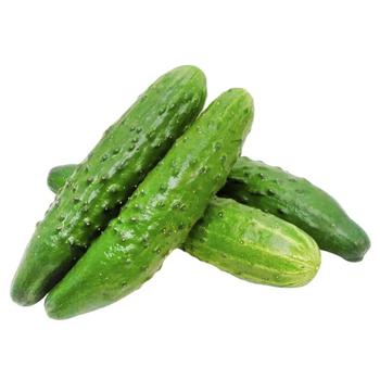 Cucumber - buy, prices for Tavria V - photo 1