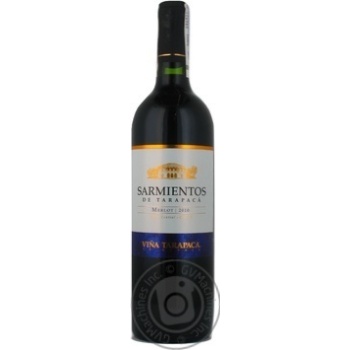 Вино Sarmientos Merlot червоне сухе 0.75л х6 купить, цены на МегаМаркет - фото 4