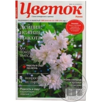 Flower Magazine - buy, prices for MegaMarket - photo 2