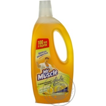 Means Mr.muscle for cleaning 750ml - buy, prices for MegaMarket - photo 4