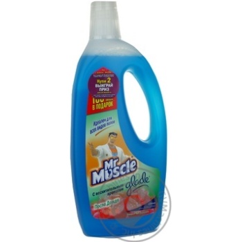Means Mr.muscle After rain for cleaning 750ml - buy, prices for MegaMarket - photo 6