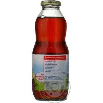 Sugar-free juice with vitamin C Hipp red fruits and rosehip tea for children from 4+ months glass bottle 500ml Hungary - buy, prices for - photo 3