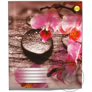 Notebook Tetrada lined 60pages - buy, prices for MegaMarket - photo 2