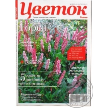 Flower Magazine - buy, prices for MegaMarket - photo 3