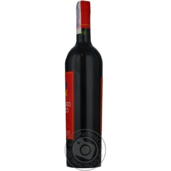 Wine shiraz Escudo rojo red dry 13% 750ml glass bottle Chili - buy, prices for MegaMarket - photo 3
