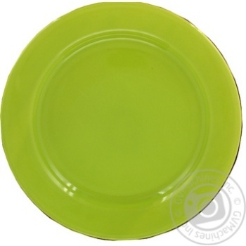 plate vetro plus light green - buy, prices for - photo 1