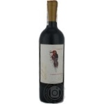 Вино Aves Del Sur Carbernet Sauvignon червоне сухе 0.75л х12