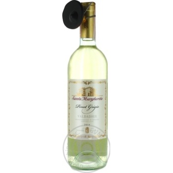 Wine pinot grigio white dry 12.5% 750ml glass bottle Italy - buy, prices for MegaMarket - photo 3