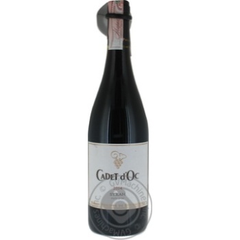 Wine red dry 13.5% 750ml glass bottle - buy, prices for MegaMarket - photo 1