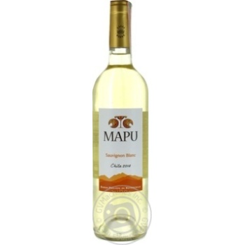 Wine sauvignon-blan Baron philippe de rothschild white dry 12.5% 2010year 750ml glass bottle Chili - buy, prices for MegaMarket - photo 1