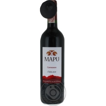 Wine carmener red dry 13% 750ml glass bottle Chili - buy, prices for MegaMarket - photo 1