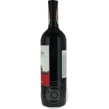 Wine pais Santa carolina 11.5% 750ml glass bottle Chili - buy, prices for NOVUS - photo 4