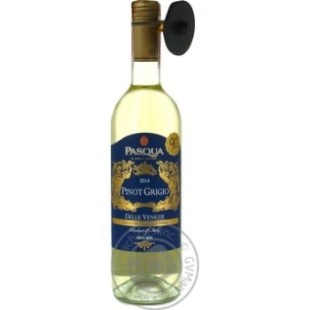 Вино Pasqua Pinot Grigio сухе біле 0.75л х6 купити, ціни на МегаМаркет - фото 1