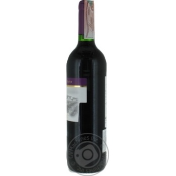 Wine red semisweet 13% 750ml glass bottle Spain - buy, prices for MegaMarket - photo 2
