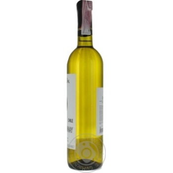 Cartaval Chile Chardonnay White Dry Wine - buy, prices for MegaMarket - photo 2