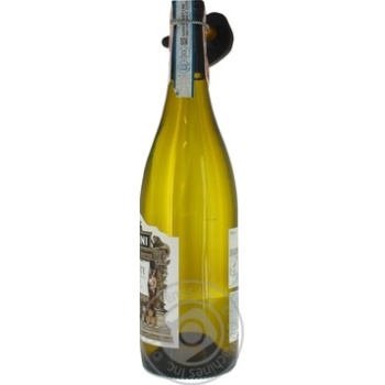 Martini Piemonte Bianco Dry White Wine 0.75l - buy, prices for MegaMarket - photo 2